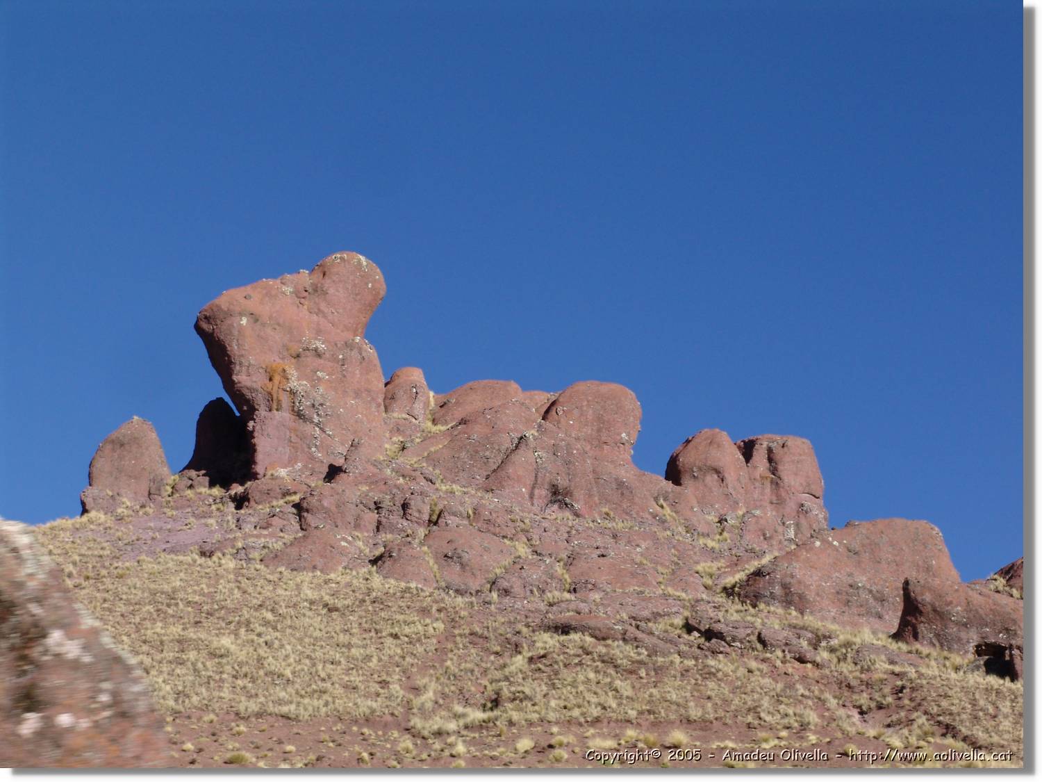 Colca_220.jpg