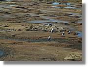 Colca_001.jpg
