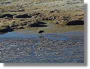 Colca_002.jpg