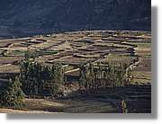 Colca_024.jpg