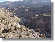 Colca_026.jpg