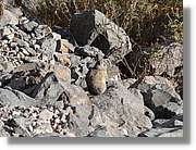Colca_030.jpg