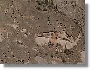 Colca_034.jpg