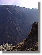 Colca_046.jpg