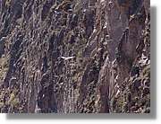 Colca_072.jpg