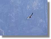 Colca_075.jpg