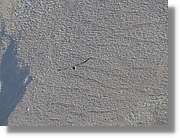 Colca_081.jpg