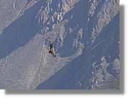 Colca_094.jpg