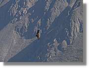 Colca_095.jpg