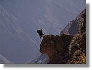 Colca_105.jpg