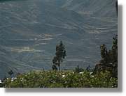 Colca_110.jpg