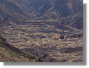Colca_120.jpg