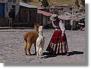 Colca_126.jpg