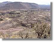 Colca_136.jpg