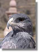 Colca_138.jpg