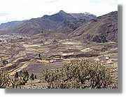 Colca_140.jpg