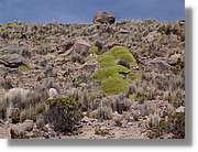 Colca_149.jpg