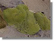 Colca_168.jpg