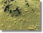 Colca_171.jpg