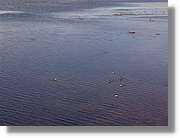 Colca_213.jpg