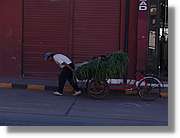 Cusco_134.jpg