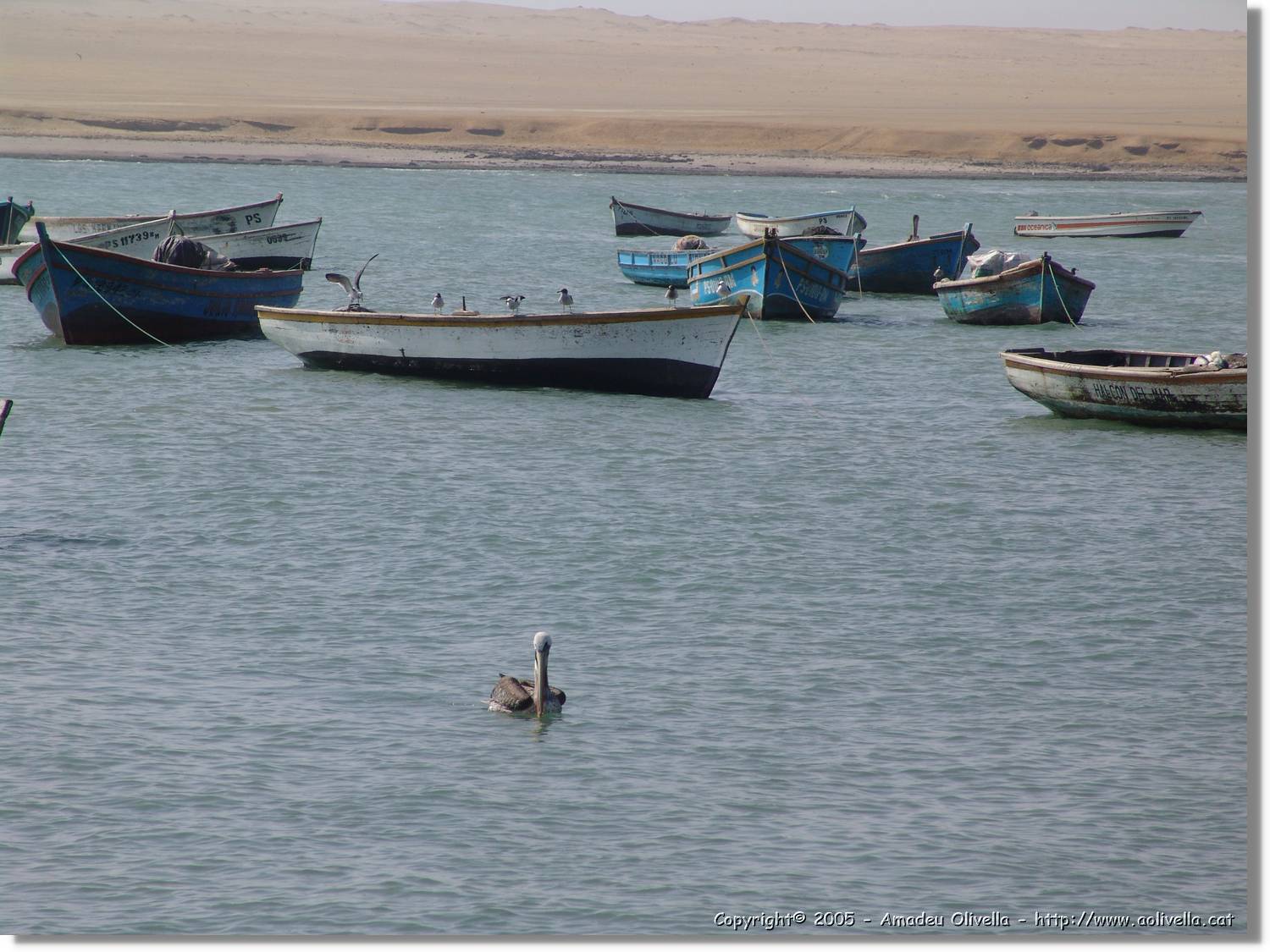 Lima_301.jpg
