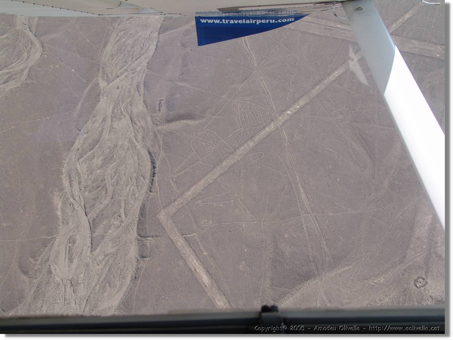 Nazca_079.jpg