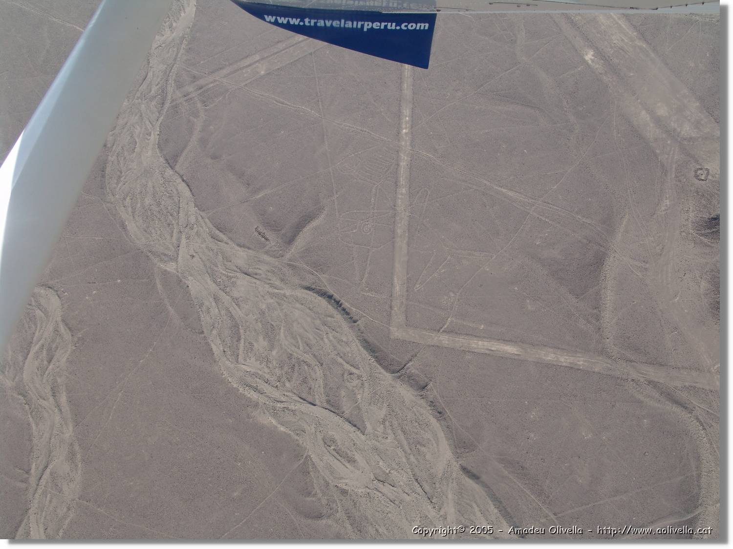 Nazca_080.jpg