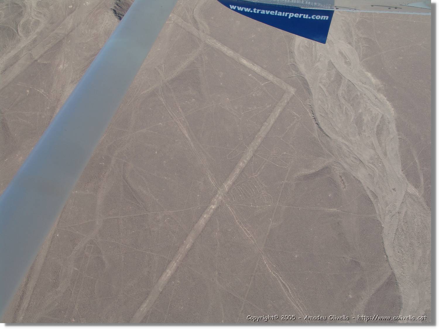 Nazca_083.jpg