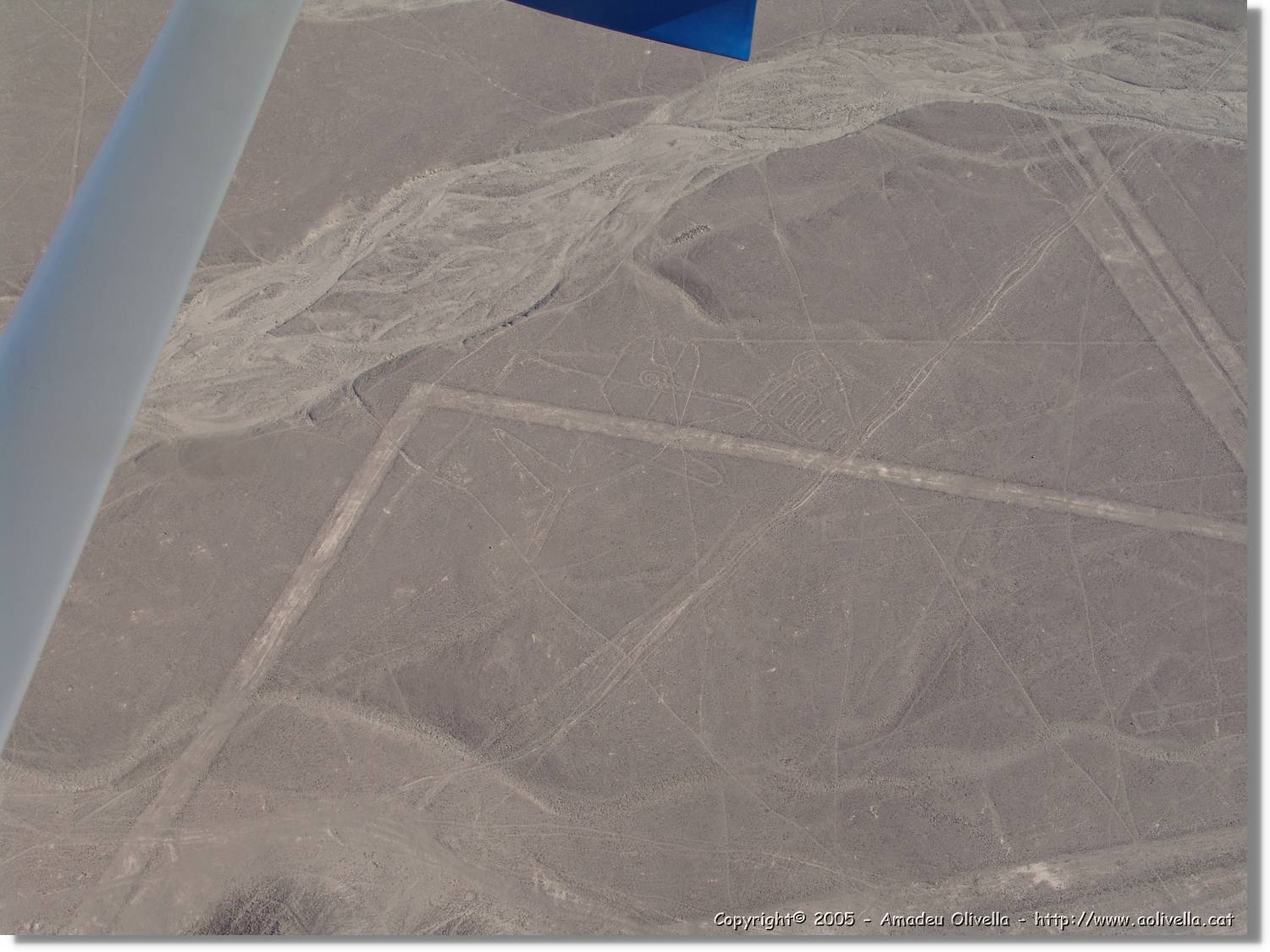 Nazca_084.jpg