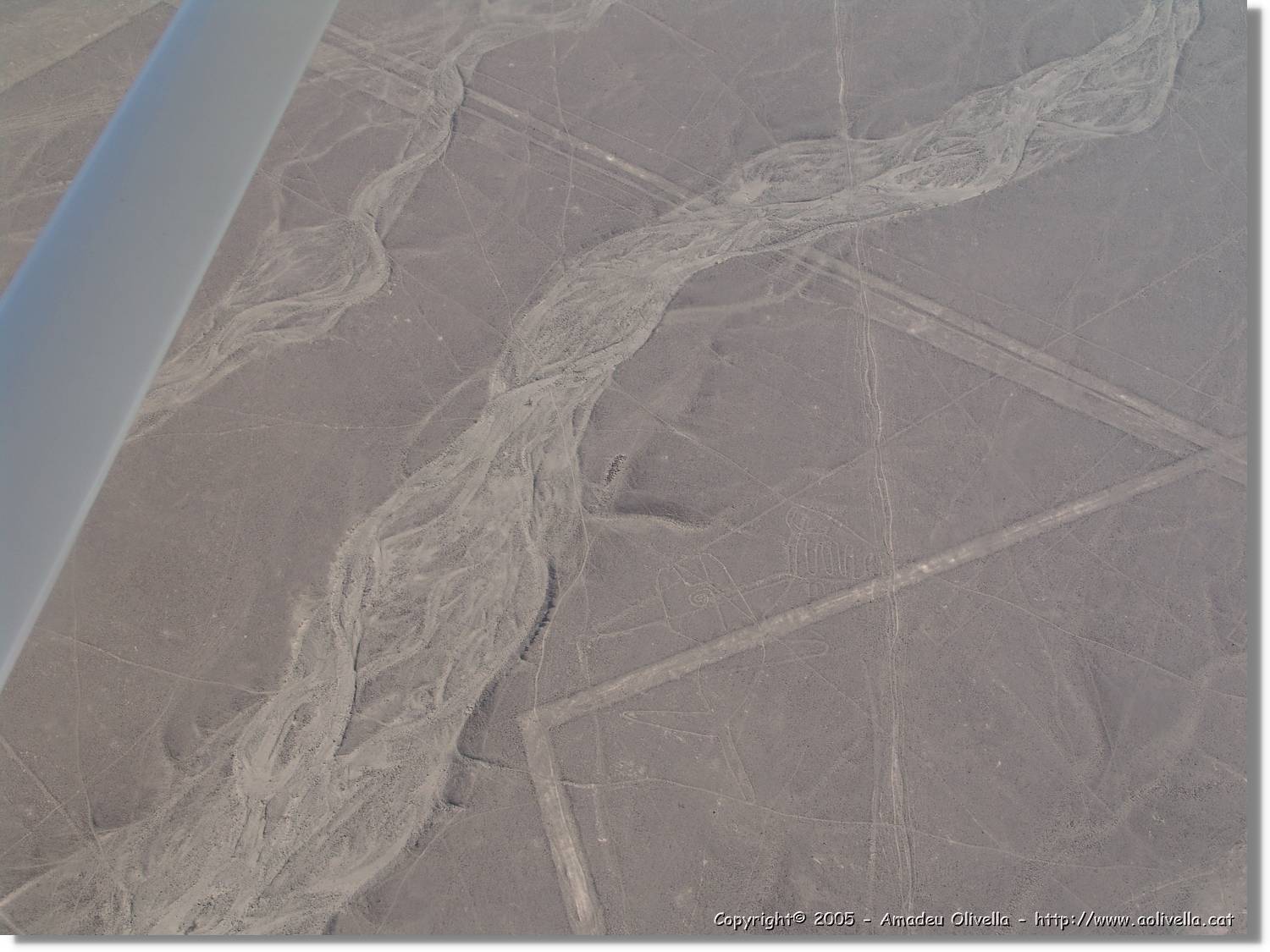 Nazca_085.jpg