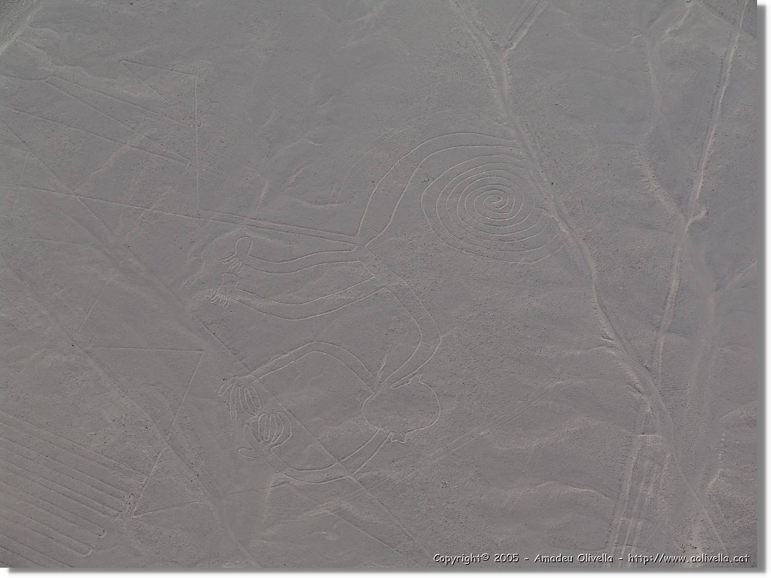 Nazca_100.jpg