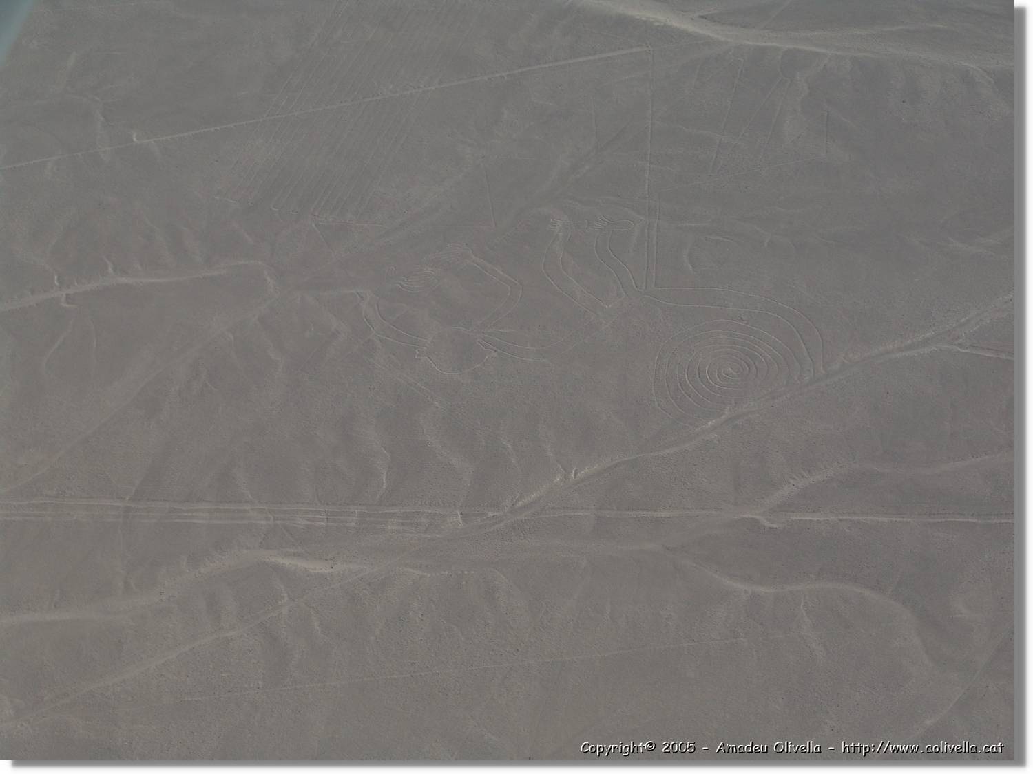 Nazca_104.jpg