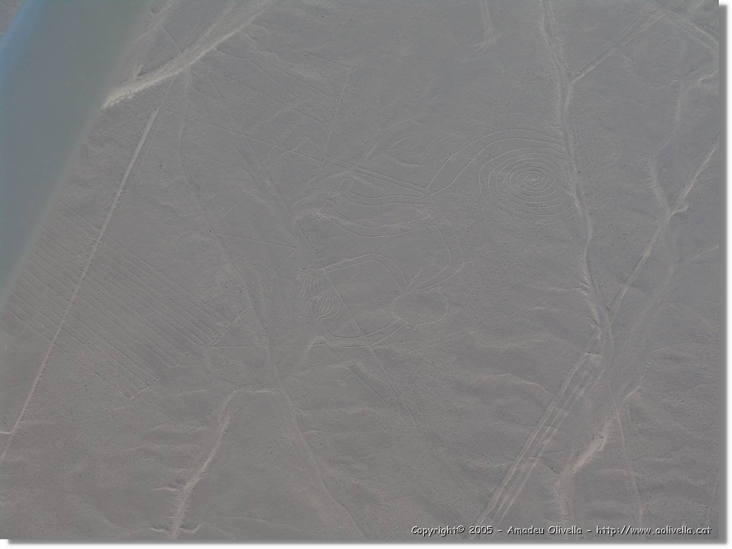 Nazca_105.jpg