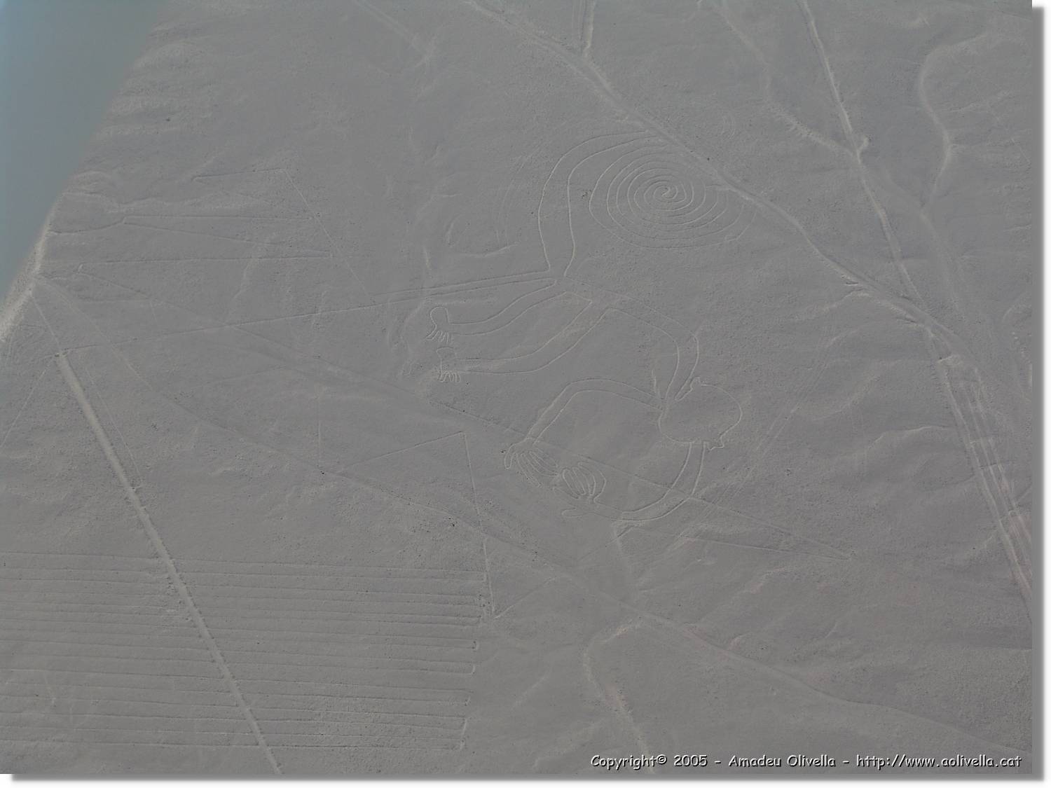 Nazca_106.jpg