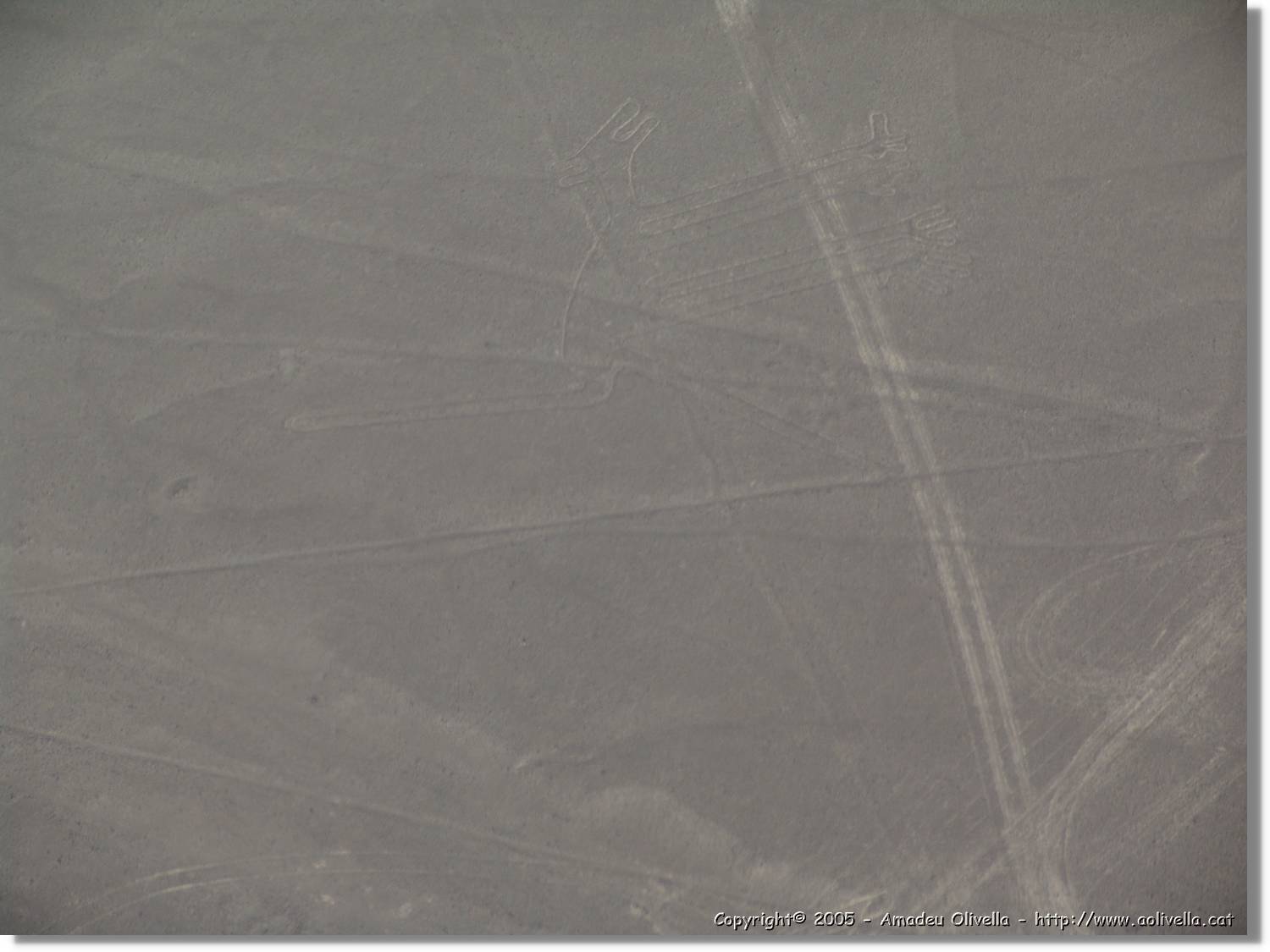 Nazca_107.jpg