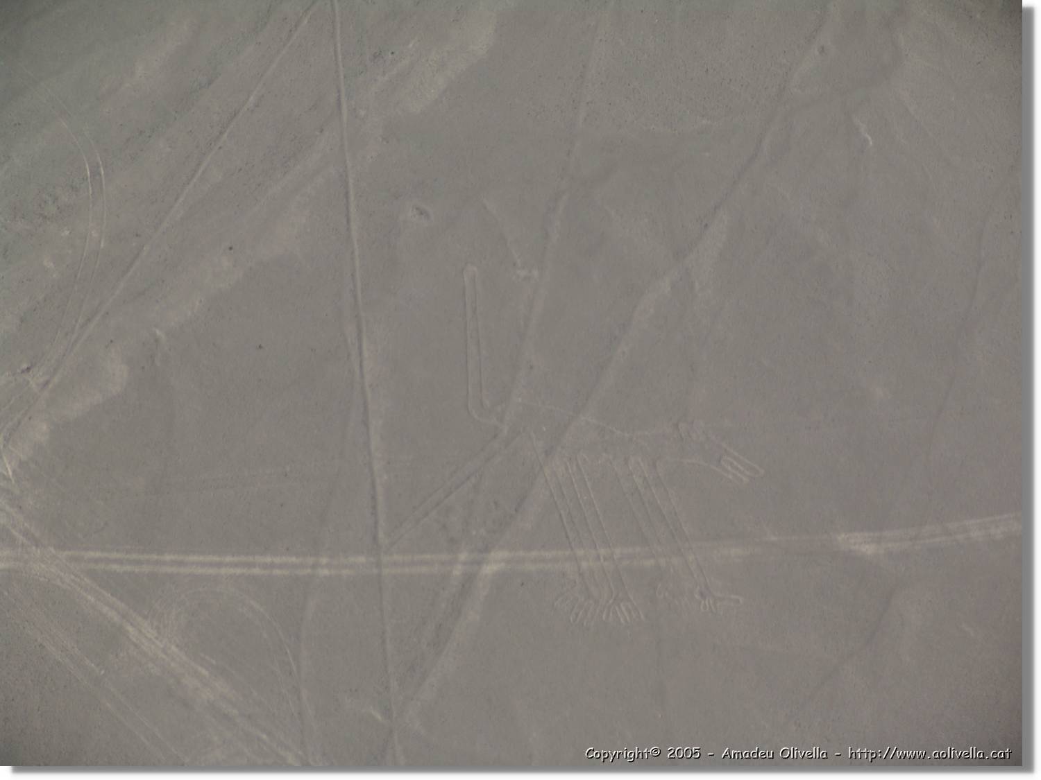 Nazca_111.jpg