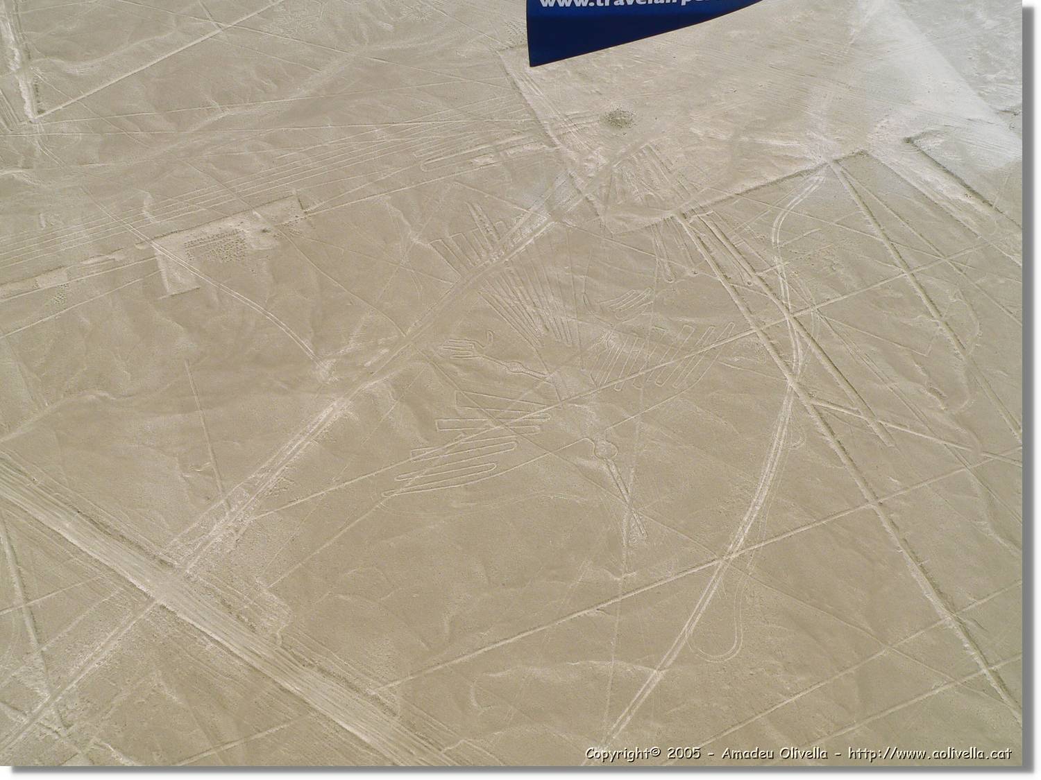 Nazca_114.jpg