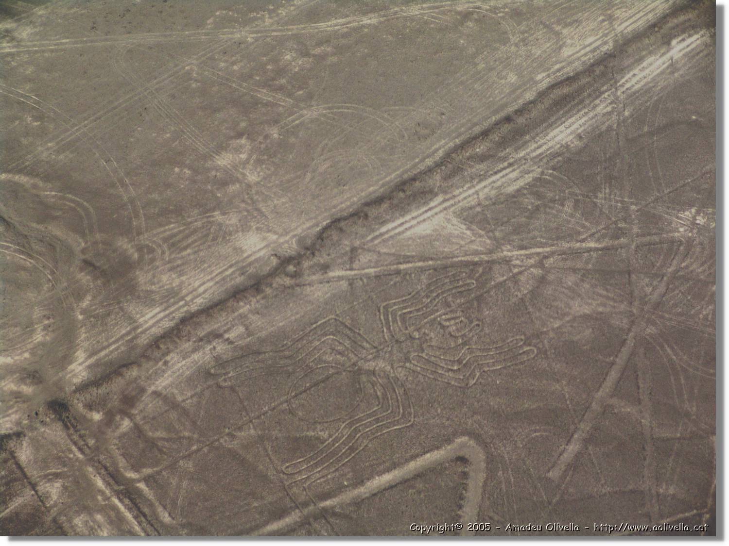 Nazca_121.jpg
