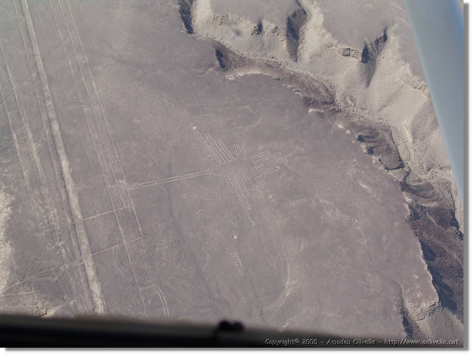 Nazca_127.jpg