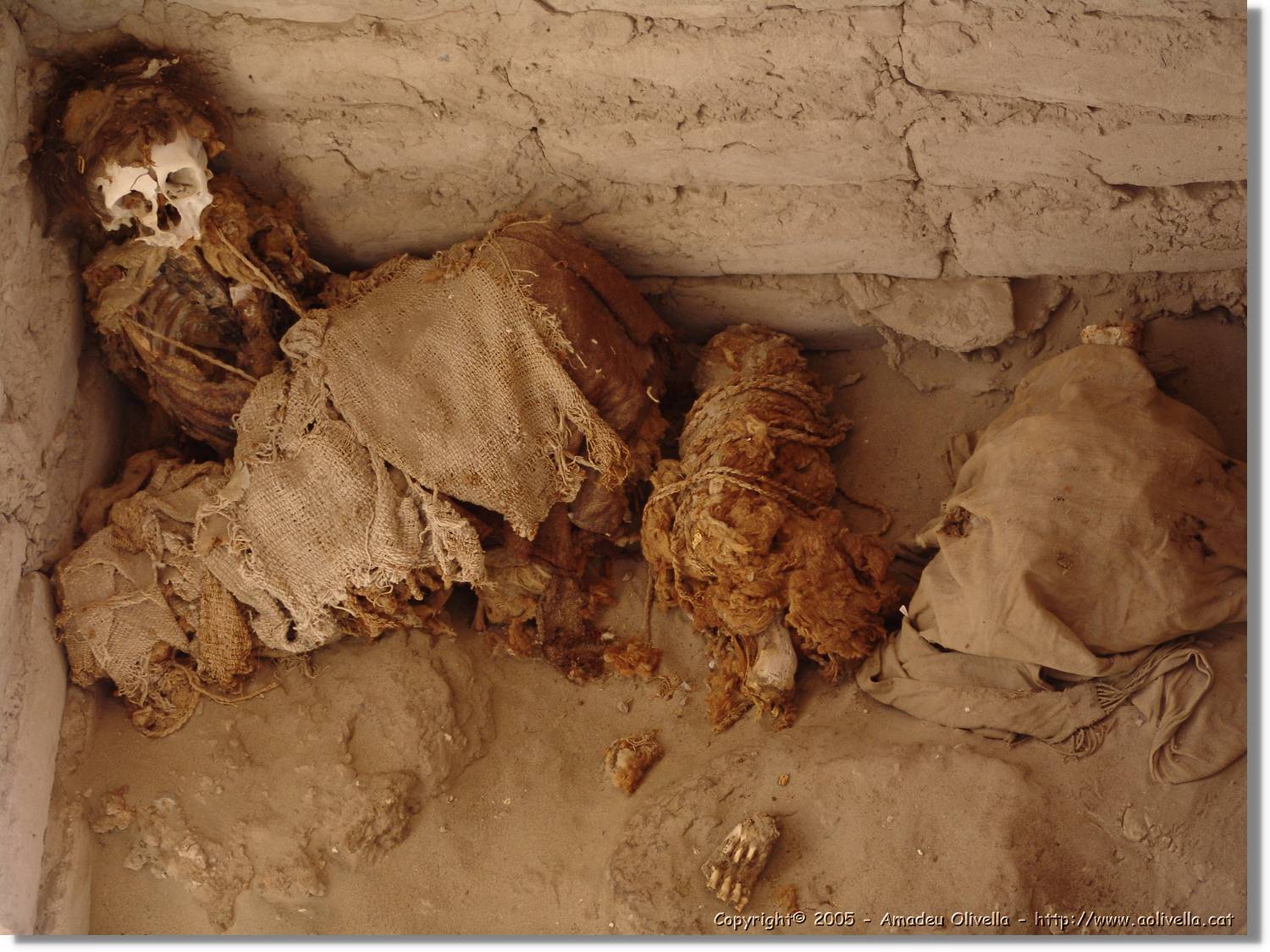 Nazca_201.jpg
