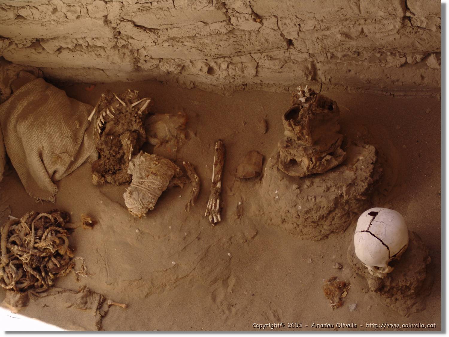 Nazca_203.jpg