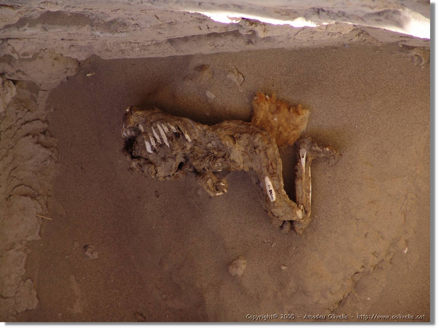 Nazca_204.jpg
