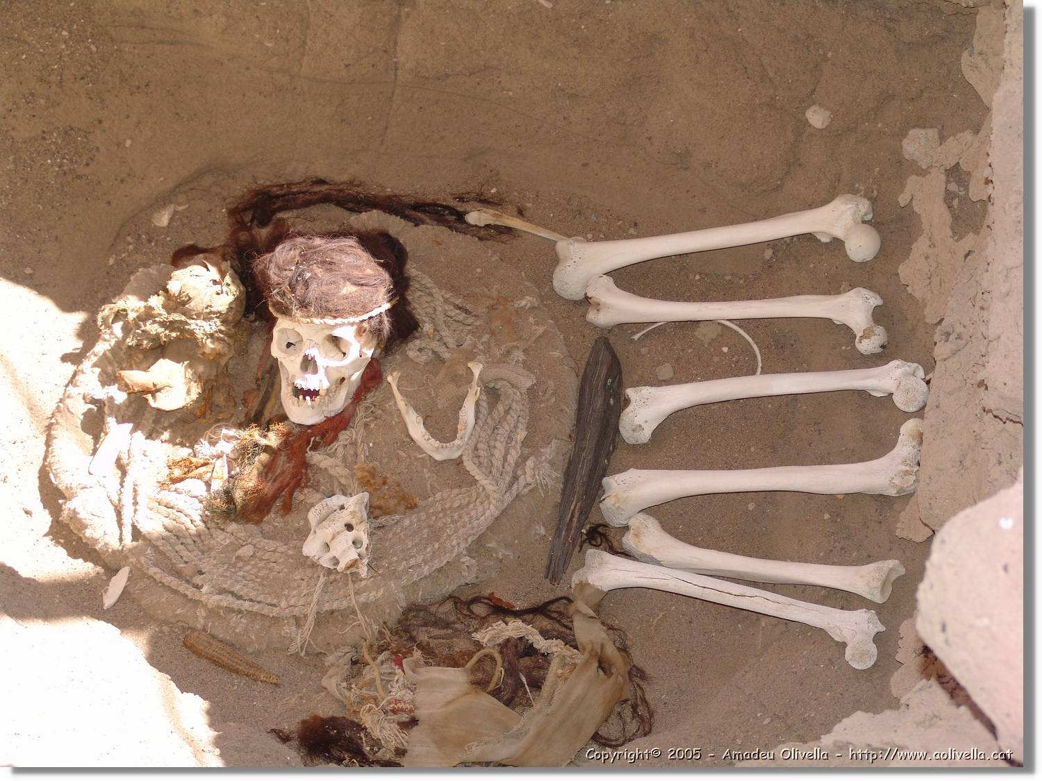 Nazca_210.jpg