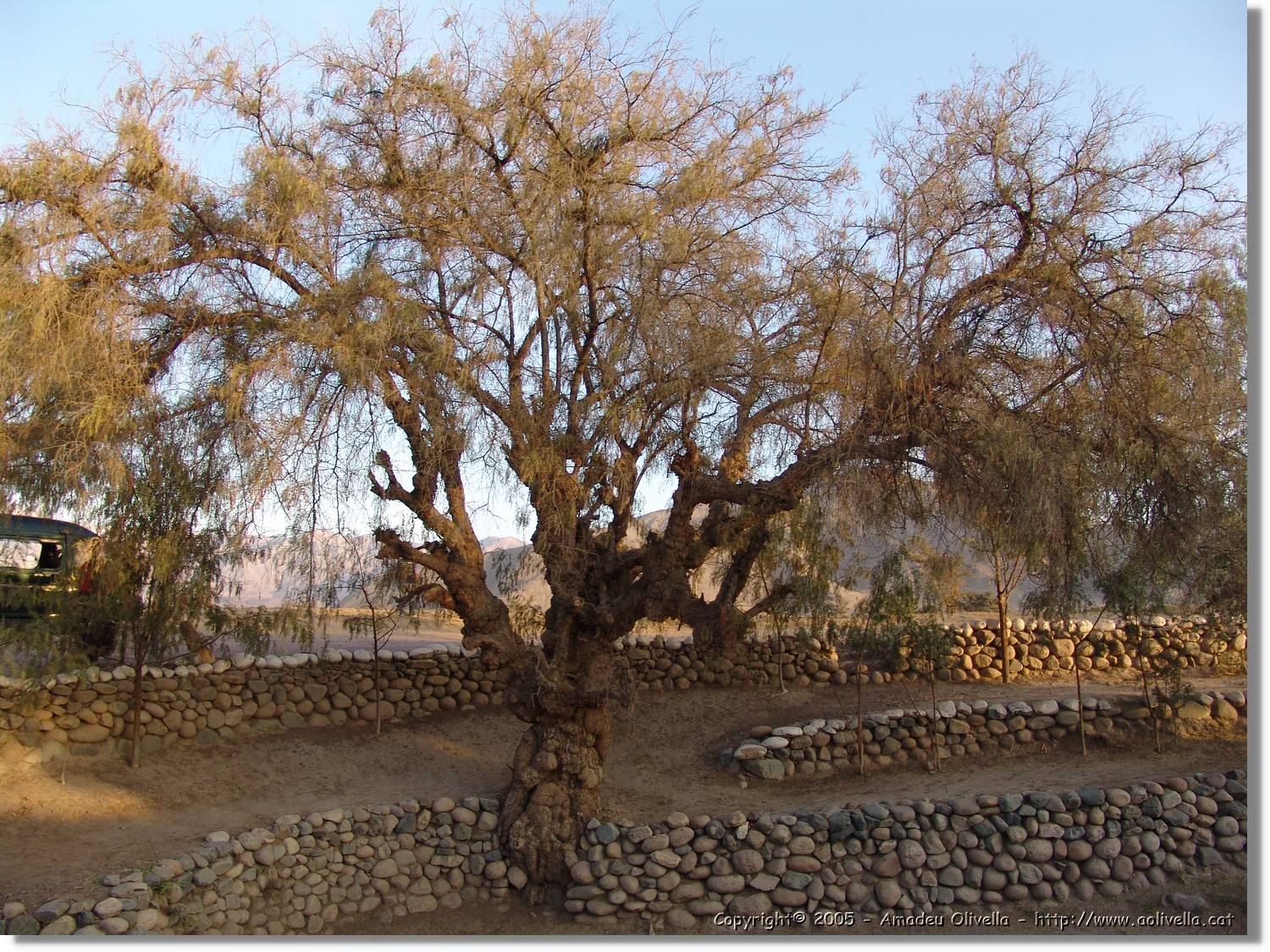 Nazca_224.jpg