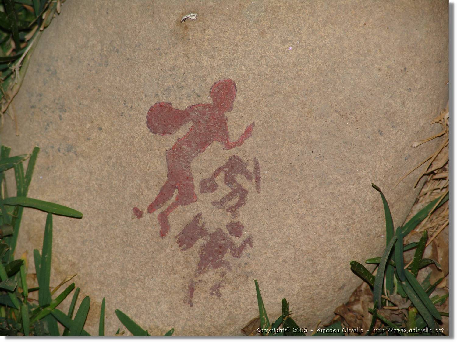 Nazca_267.jpg