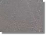 Nazca_100.jpg
