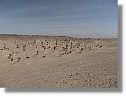 Nazca_178.jpg