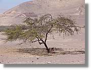 Nazca_198.jpg