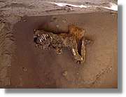 Nazca_204.jpg